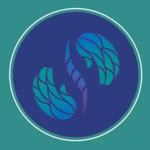 Reel Instagram Biamed curato da Creative Studio